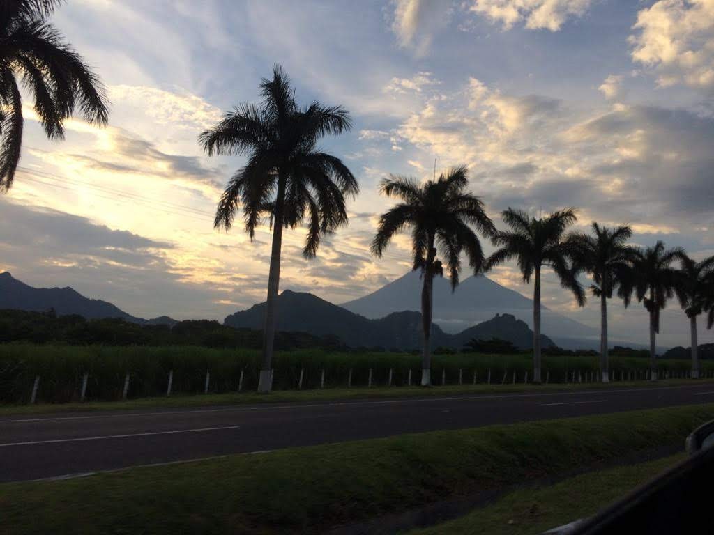 chchapina's profile banner image
