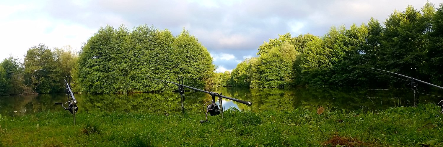 carpspots's profile banner image