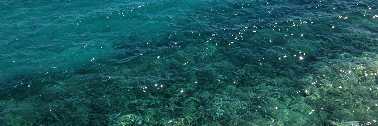 Katerina Nanou banner