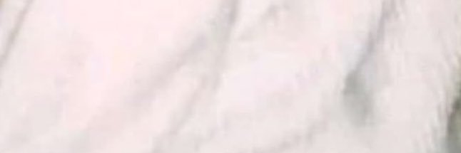 Areej banner