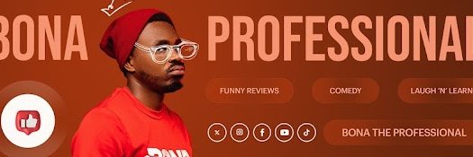 ProfBona banner