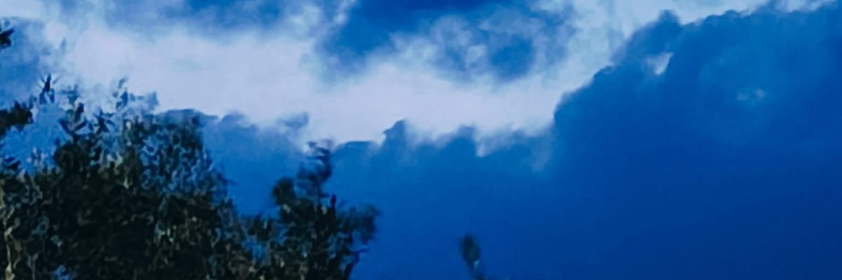 يارا banner