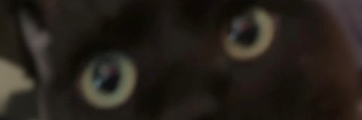 ろい banner