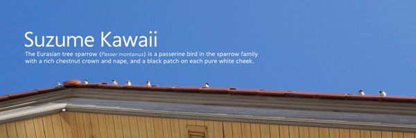 21f Profile Banner