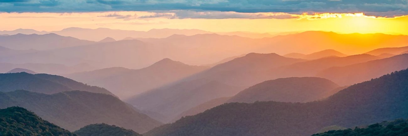 Virginians for Liberty banner