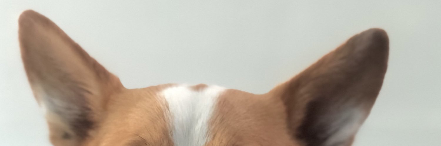 eguffin's profile banner image