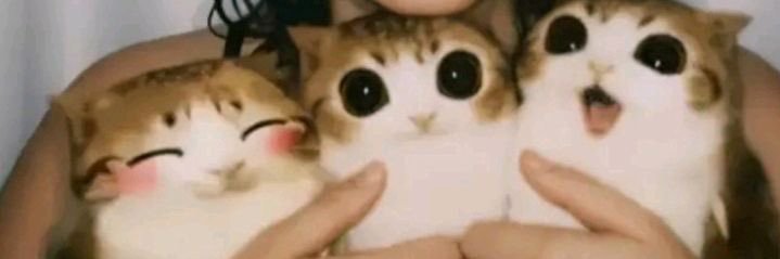 CHARCHEWII !!! banner