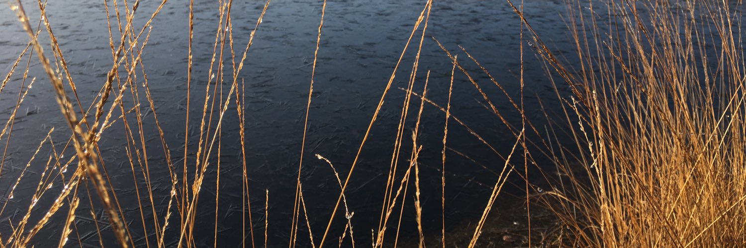 aserbruyns's profile banner image