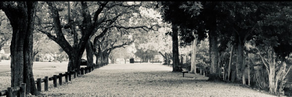 ferortegab's profile banner image