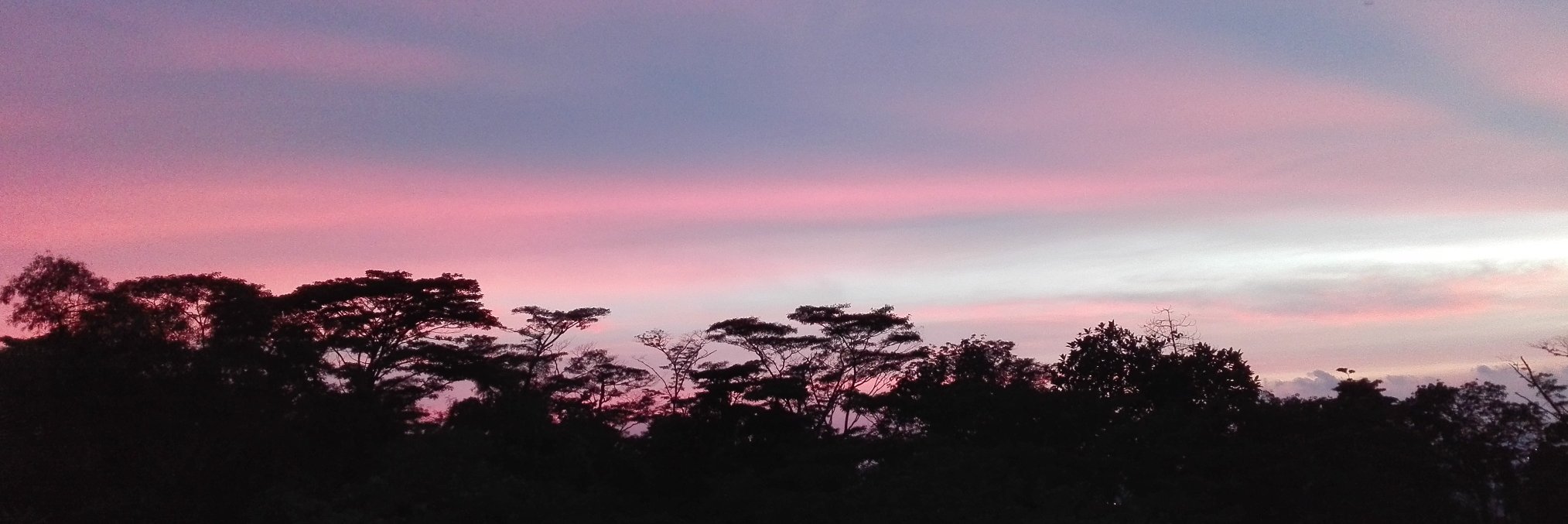 TrekMiles's profile banner image