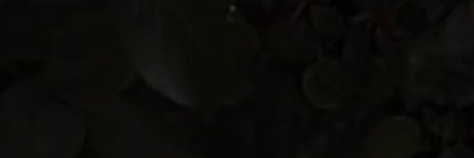 4dxlq's profile banner image