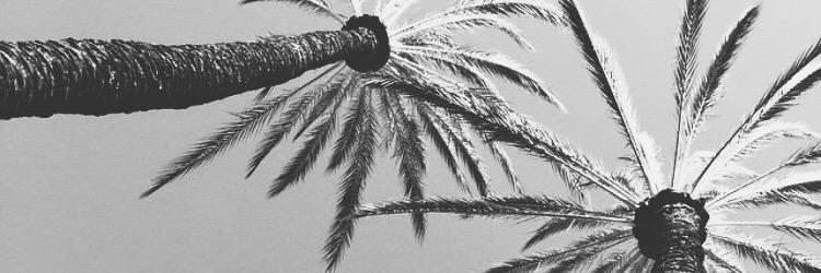 marianerae's profile banner image