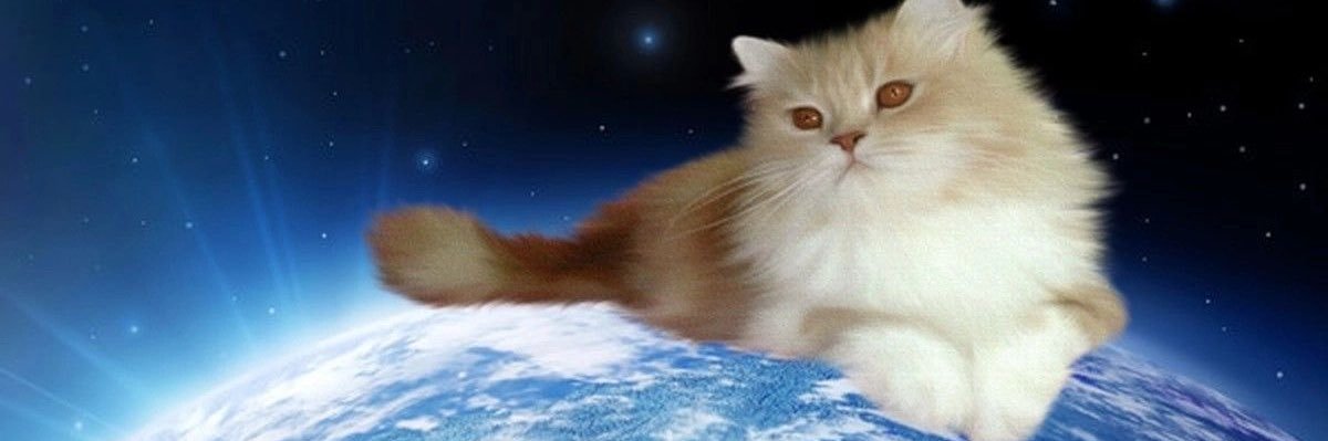 ⪩⪨ banner