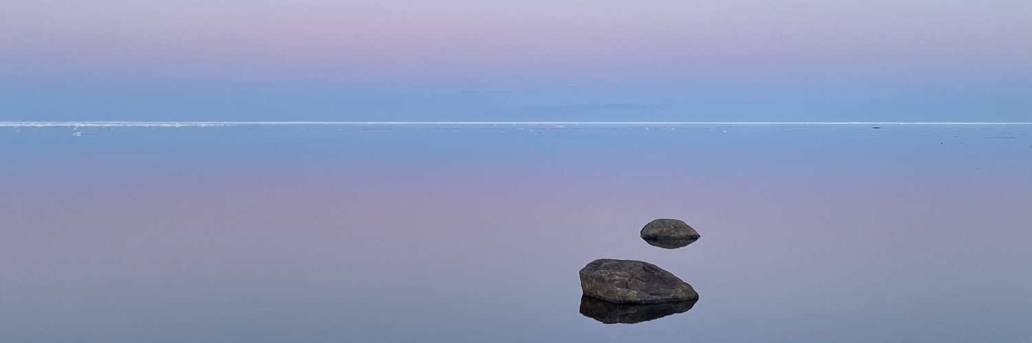 Olov H Baudin banner