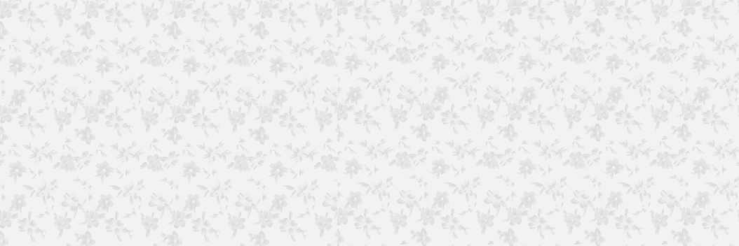 Fran ❁ banner