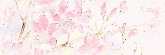 delilsdiary's profile banner image