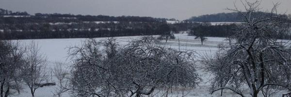 guimsle Profile Banner