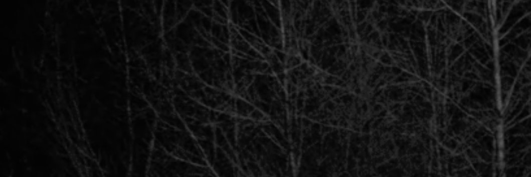 HEARTPAPAHET's profile banner image