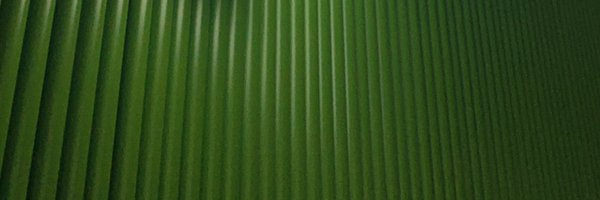 葡萄酱 banner