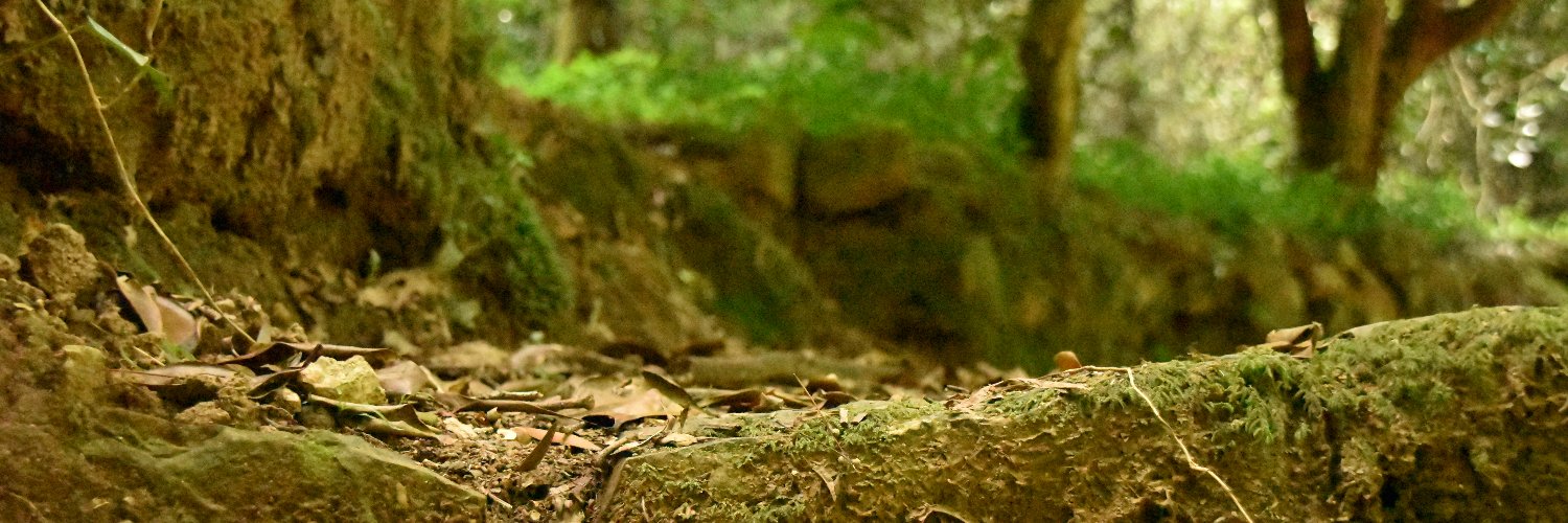Pribeiro9's profile banner image