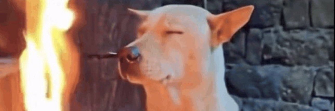 rums banner