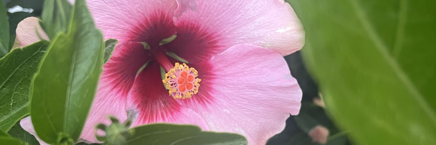 jodstajel's profile banner image