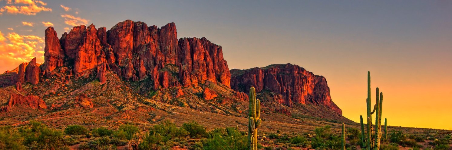 101PhoenixMag's profile banner image