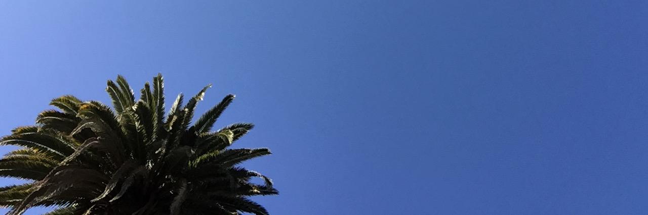 dansell_'s profile banner image