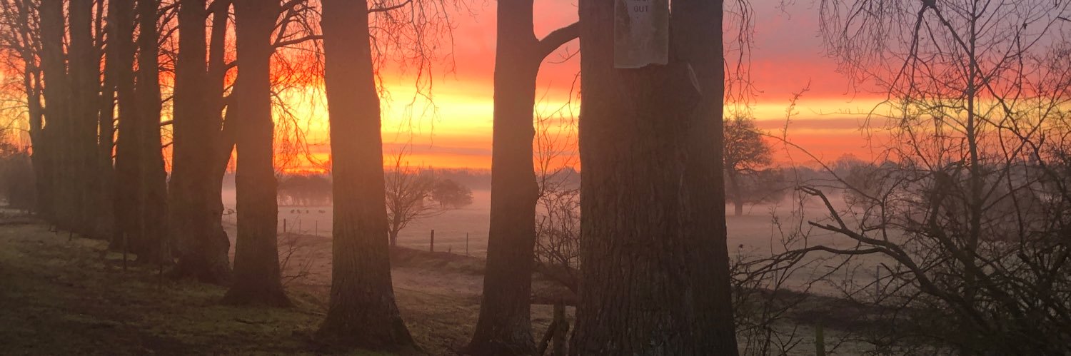 Alison Meadows banner