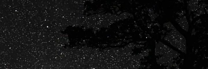 Maxi Aventuras ALT ₊˚.⋆₊ banner