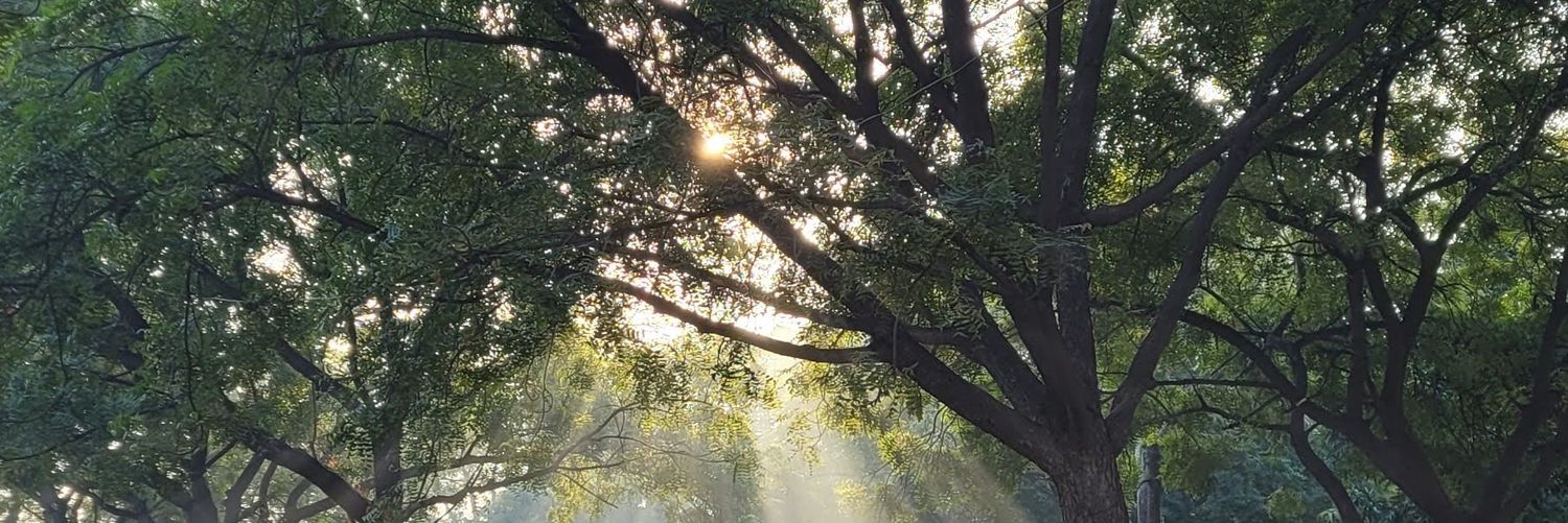 jhallivelli's profile banner image