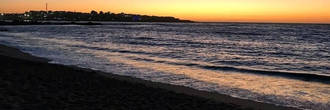 gabrielamontezg's profile banner image