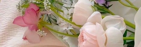 𝘾𝙝𝙤𝙠𝙠𝙤 banner