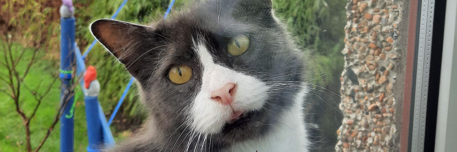 ferretto's profile banner image