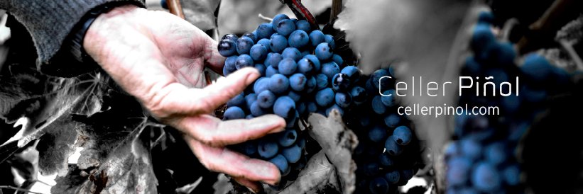 Celler Piñol banner