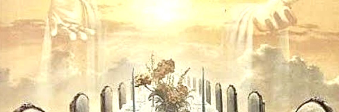 Lanuola's profile banner image
