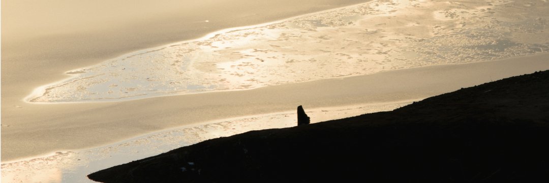 Wataru Sato/Gecko banner