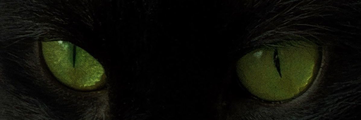 Cuca🌙| MESA ABERTA banner