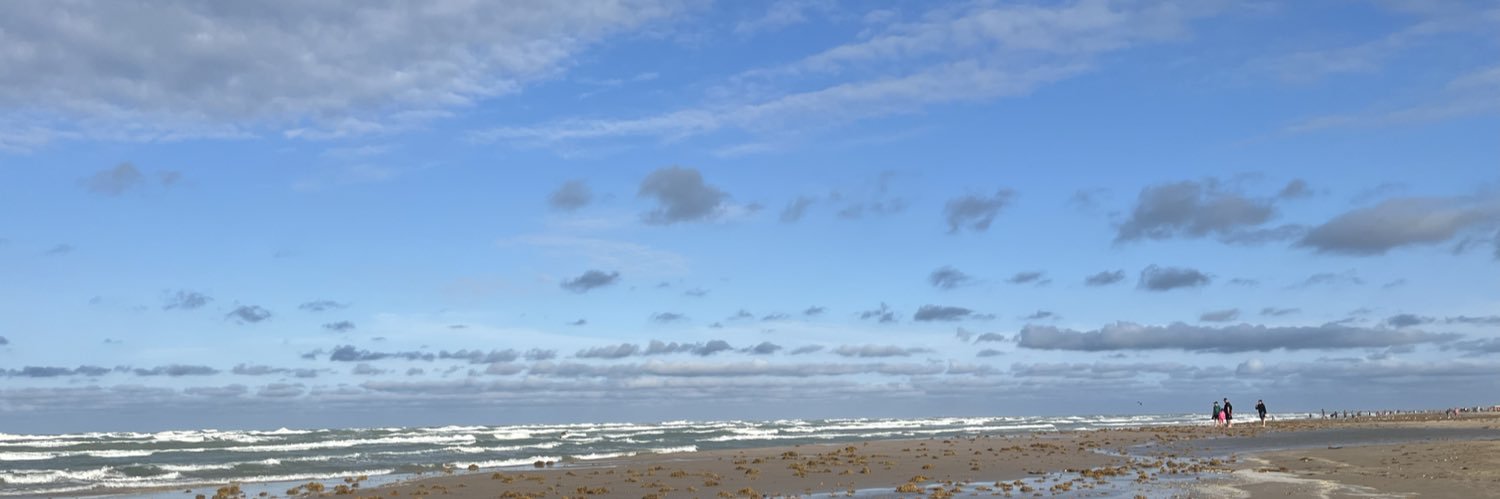 sandritaru's profile banner image