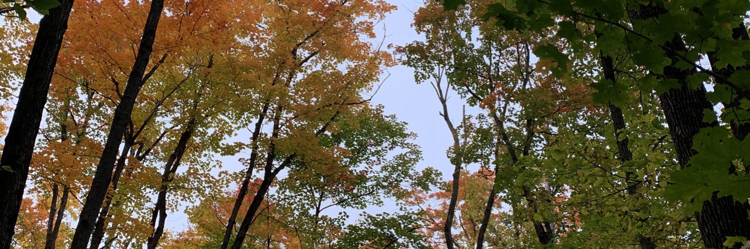 Cameron Ahmad banner