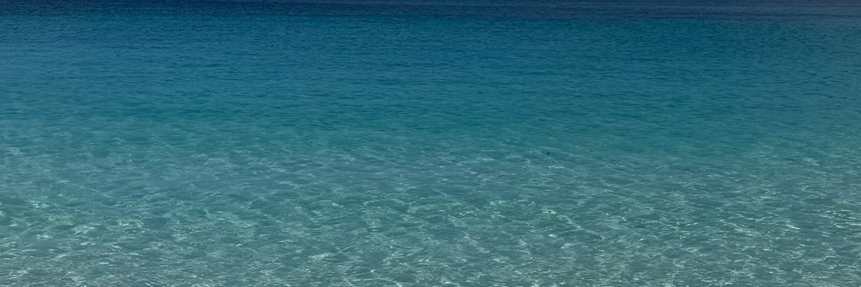 SSantoss999's profile banner image