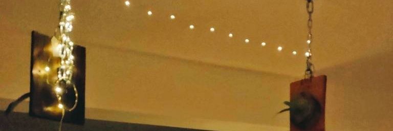 Nooby3 banner
