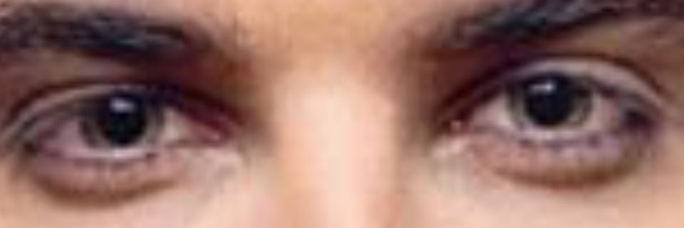 Julie Casswell 🌼🌹🌼 banner