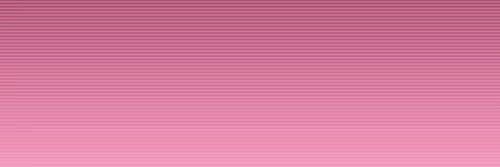 dashtheechidna's profile banner image