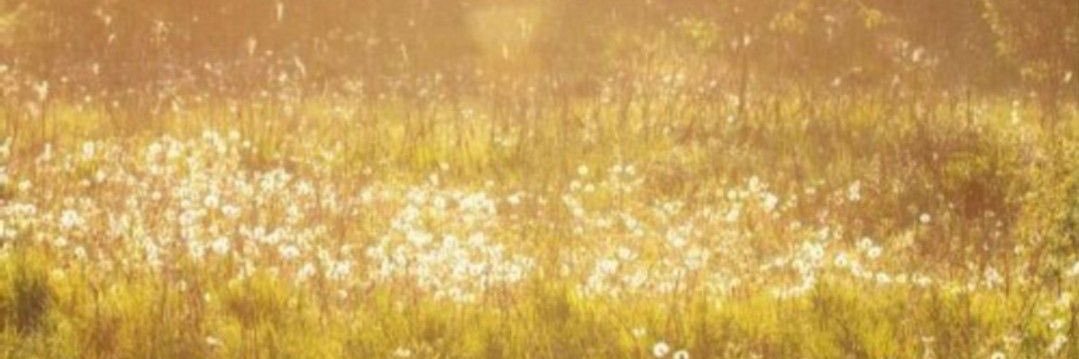 جَ banner