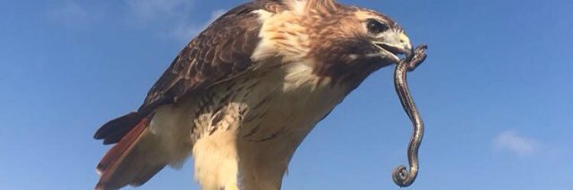 El Contador👨‍💻 banner