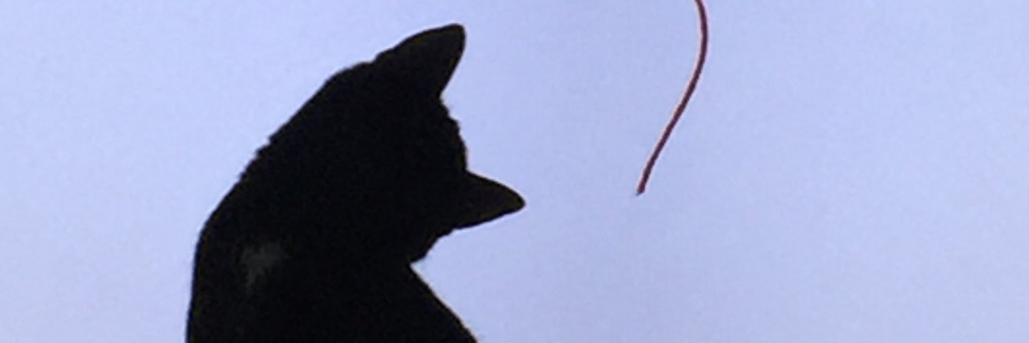 Liz_Hector's profile banner image