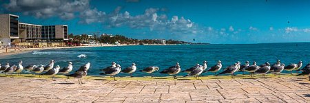 Ian MacKenzie Cendón banner