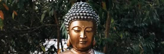 acervoluis 🥂🪇 banner