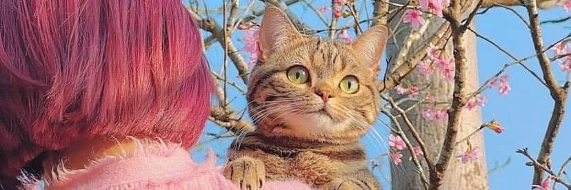 sirinsss's profile banner image
